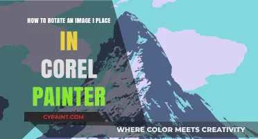 Master Image Rotation in Corel Painter: A Step-by-Step Guide