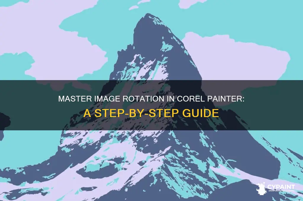 how to rotate an image i place in corel painter