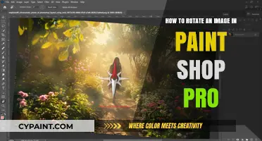 Rotating Images: Paint Shop Pro Made Easy