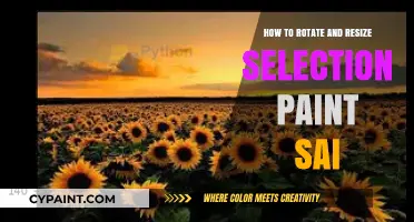 Master Rotating & Resizing Selections in PaintTool SAI: A Quick Guide