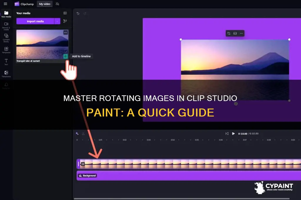 how to rotate image in clip stuidoi paint