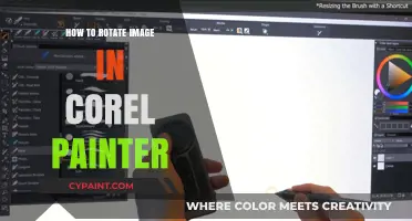 Master Image Rotation in Corel Painter: A Step-by-Step Guide