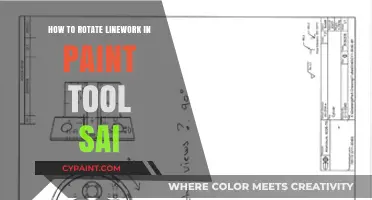Mastering Linework Rotation in Paint Tool SAI: A Step-by-Step Guide