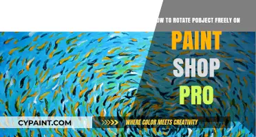 Mastering the Art of Rotation in Paint Shop Pro