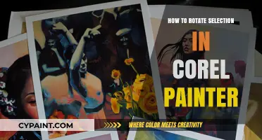 Mastering Corel Painter: Easy Steps to Rotate Your Selection