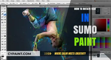 Master Text Rotation in Sumo Paint: A Step-by-Step Guide