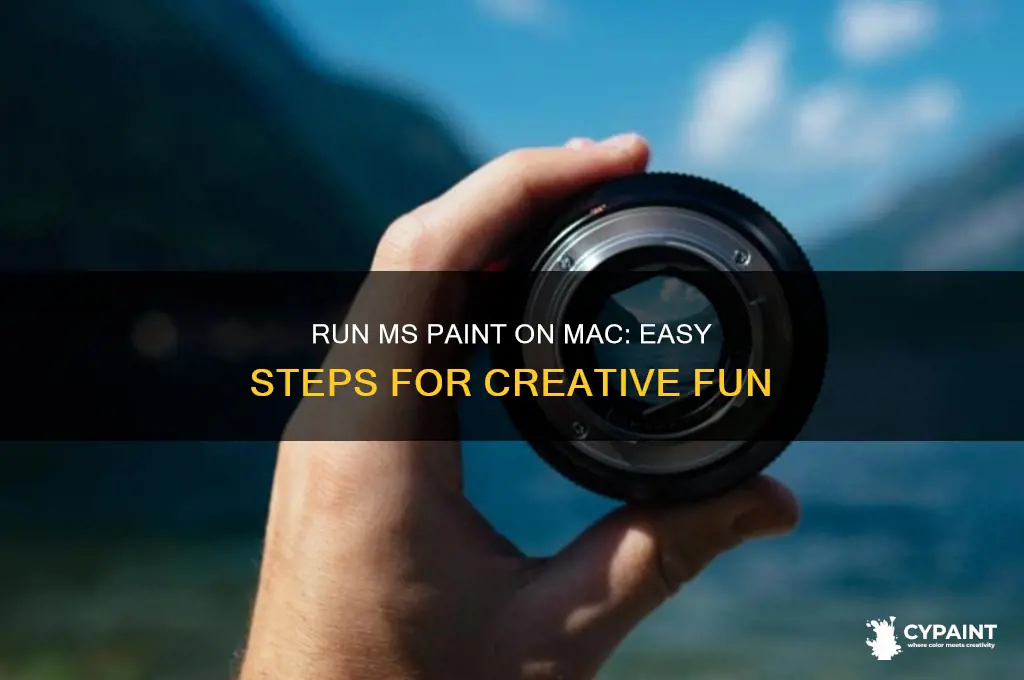 how to run ms paint on mac