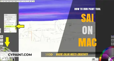 Run Paint Tool SAI on Mac: Easy Setup Guide