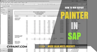 Mastering SAP Report Painter: A Step-by-Step Guide to Running Reports
