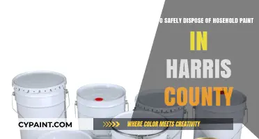 Eco-Friendly Paint Disposal Tips for Harris County Residents