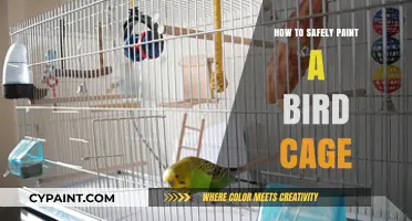 Safe Bird Cage Painting: Tips for a Non-Toxic, Vibrant Finish