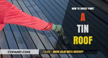 Safely Painting Your Tin Roof: A Step-by-Step Guide to Success