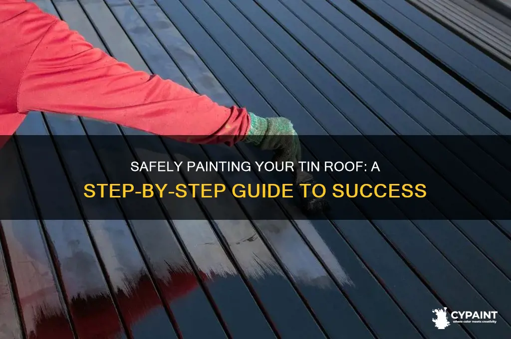 how to safely paint a tin roof