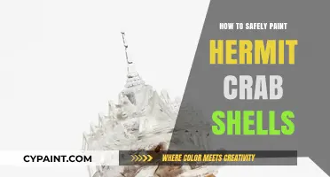 Safe Shell Painting: A Guide to Decorating Hermit Crab Homes