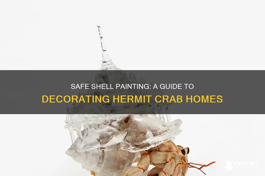 how to safely paint hermit crab shells