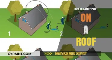 Safely Painting Your Roof: Essential Tips and Techniques for Success