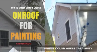 Safely Position Your Ladder on Roofs for Painting