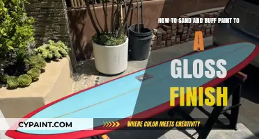 Mastering Gloss Finish: Sanding and Buffing Paint Techniques Revealed