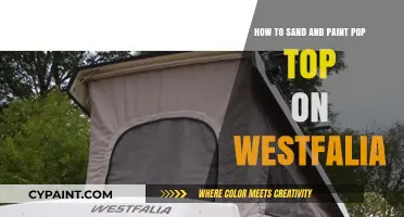 Sand and Paint Your Westfalia Pop Top
