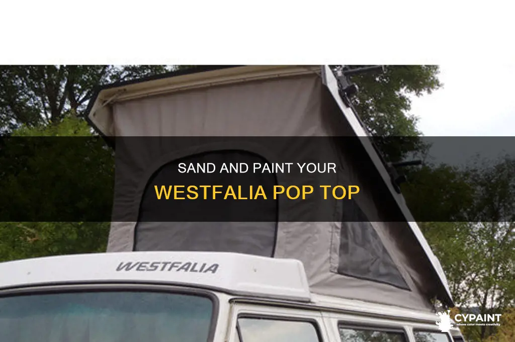 how to sand and paint pop top on westfalia