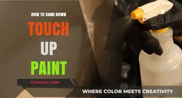 Mastering Touch-Up Paint: A Step-by-Step Sanding Guide for Flawless Results