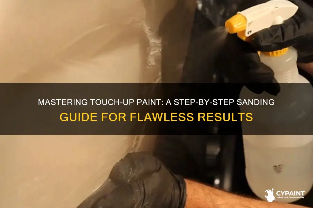 how to sand down touch up paint