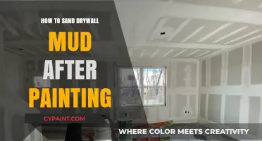 Mastering Drywall Mud Sanding: Post-Painting Techniques for a Flawless Finish