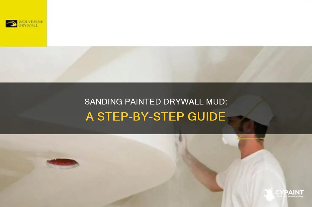 how to sand drywall mud that has been painted