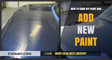 Sanding and Repainting: A Guide to Revitalizing Your Surfaces