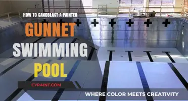 Sanding Your Pool: A Guide to Sandblasting Painted Gunite Surfaces