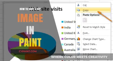Save Your Cut Image in Paint: A Quick and Easy Guide