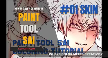 Saving Your Artwork in Paint Tool Sai