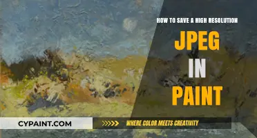 High-Res JPEGs: Paint Saving Tips