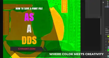 Converting Paint Files to DDS: A Simple Guide