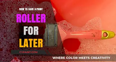Preserve Your Paint Roller: Quick Tips for Later Use