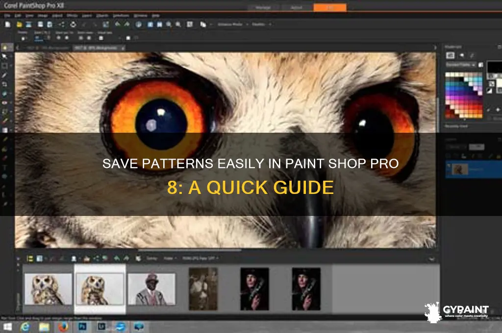 how to save a pattern in paint shop pro 8