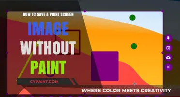 Taking Screenshots: No Paint, No Problem
