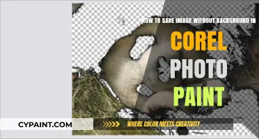 Remove Backgrounds Easily: Saving Images in Corel Photo-Paint