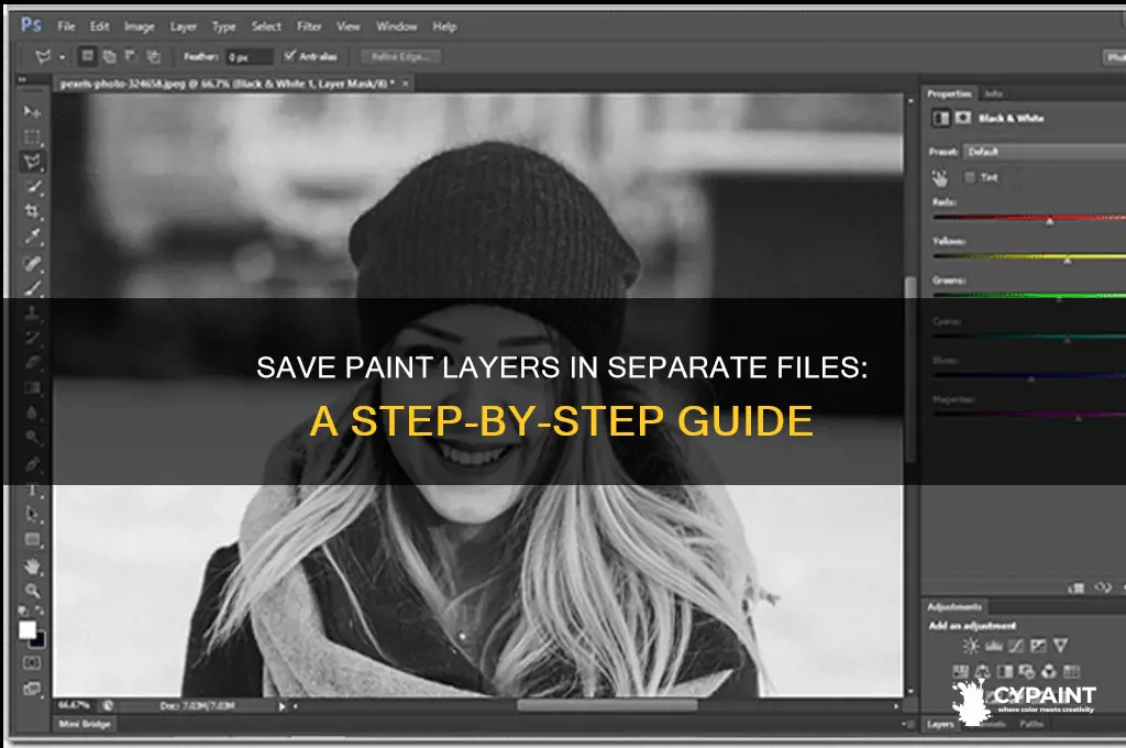 Save Paint Layers In Separate Files: A Step-By-Step Guide | CyPaint