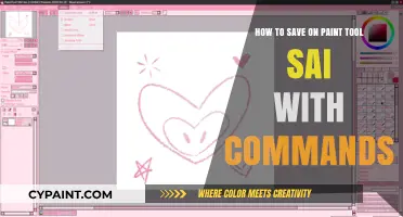 Paint Tool SAI: Save Money with Commands