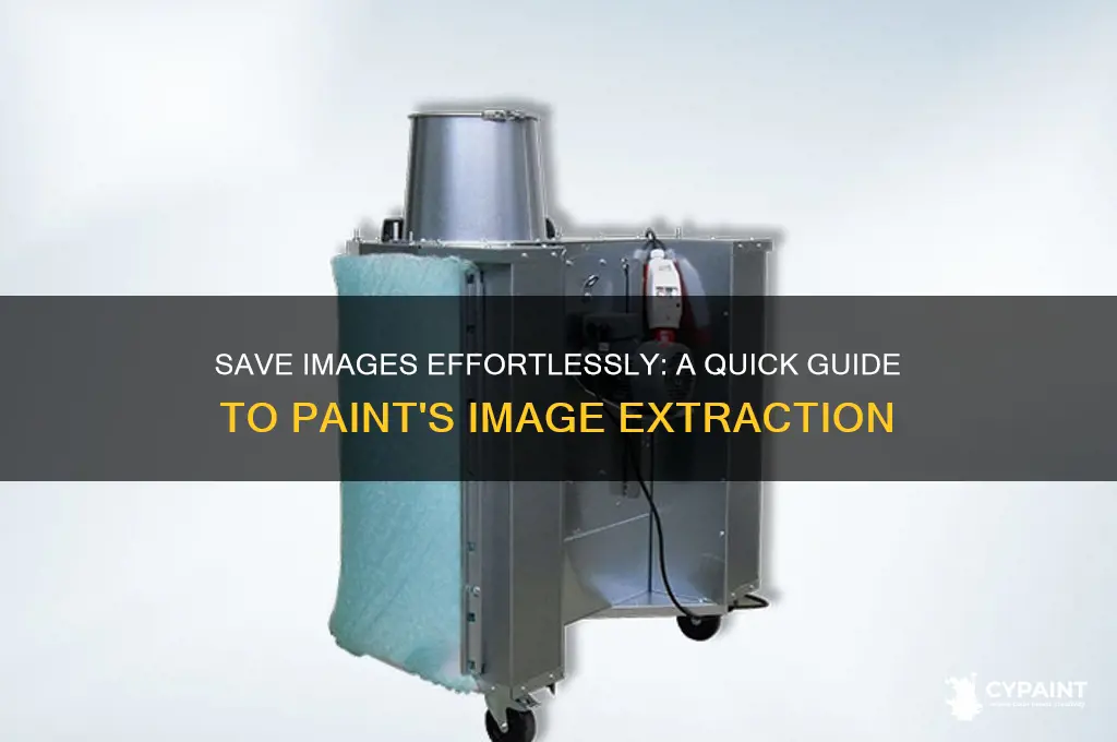 how to save only the image in paint