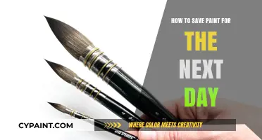 Preserve Your Paint: Smart Tips for Next-Day Reuse