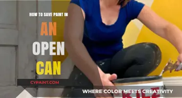 Smart Tips to Preserve Paint in an Open Can Longer