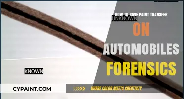 Preserving Paint Transfer Evidence: Essential Techniques for Automotive Forensics