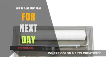 Preserve Your Paint Tray Overnight: Simple Tips for Next-Day Use