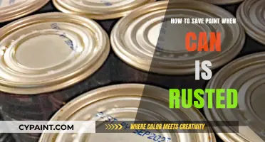 Preventing Paint Waste: Tips for Salvaging Rusted Paint Cans