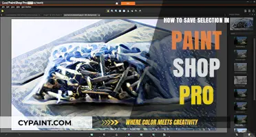 Mastering Paint Shop Pro: Efficiently Save Your Selections Like a Pro