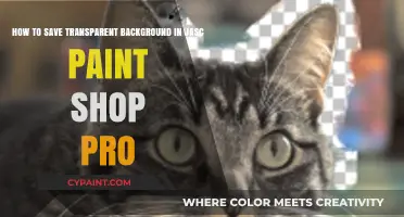 Mastering Transparency: Saving PNGs with Jasc Paint Shop Pro