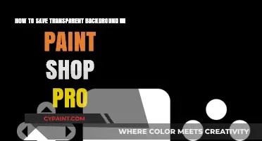 Saving Transparent Backgrounds in Paint Shop Pro