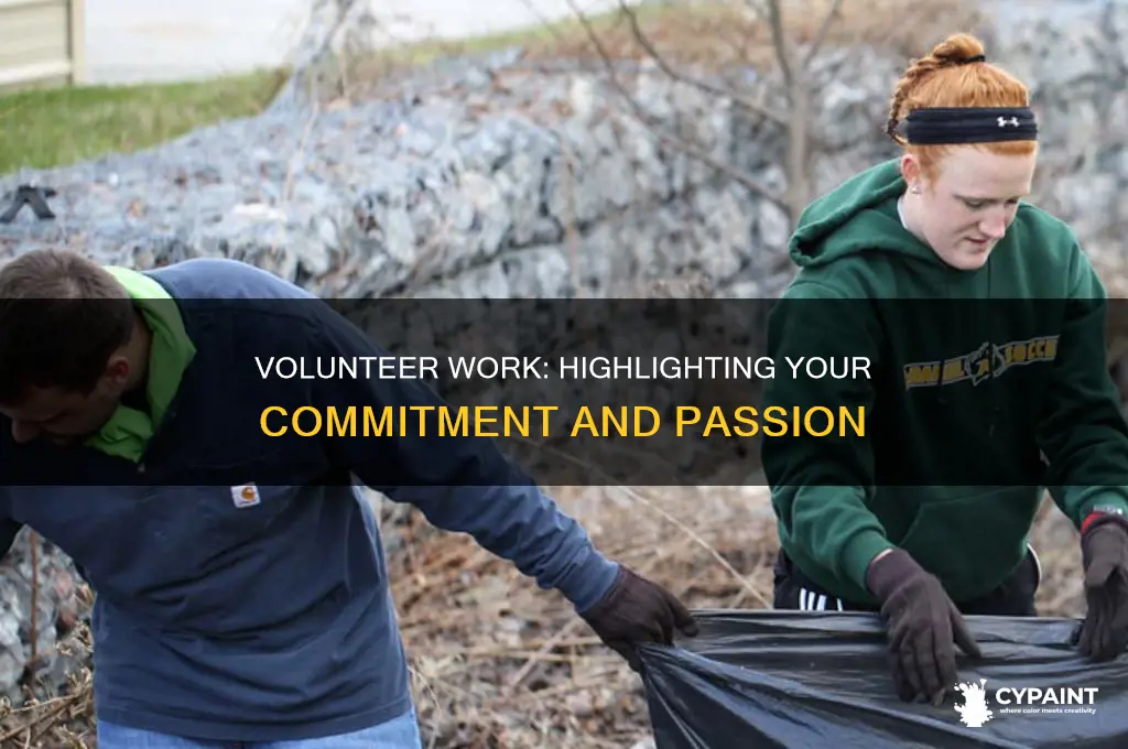 how to say painted for volunteer work in resume